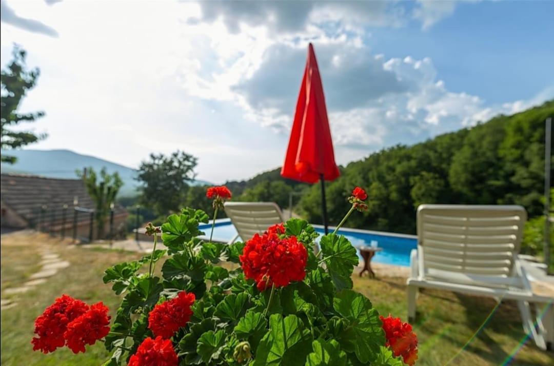 Villa Honey House Grabovac  Esterno foto
